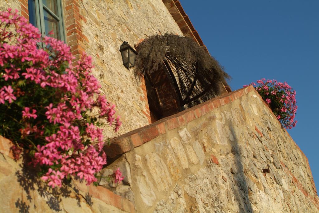 Agriturismo Podere Alberese Asciano Bagian luar foto