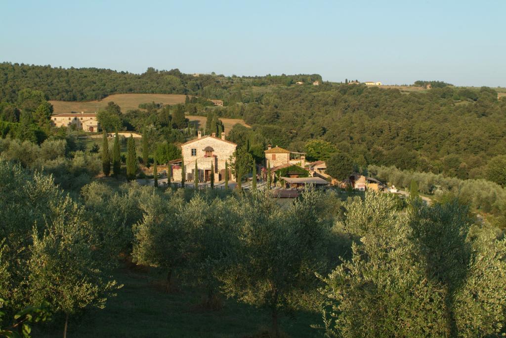Agriturismo Podere Alberese Asciano Bagian luar foto